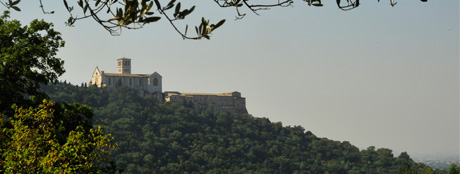 Veduta del Bosco di San Francesco