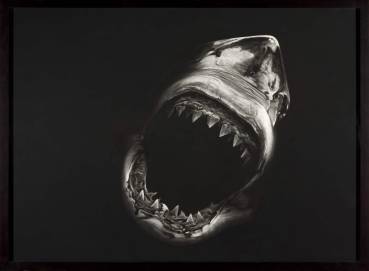 Robert Longo