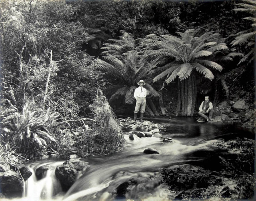 Charles Henry Kerry Fern Bower