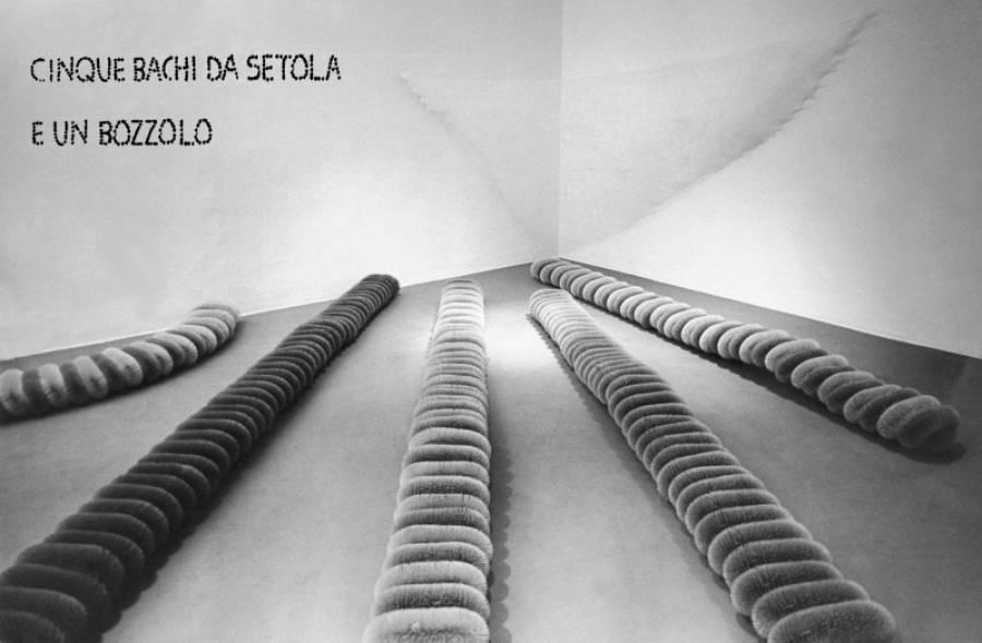 Cinque bachi da setola e un bozzolo