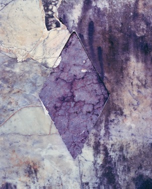 Sara VanDerBeek