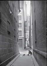 Henri Cartier-Bresson