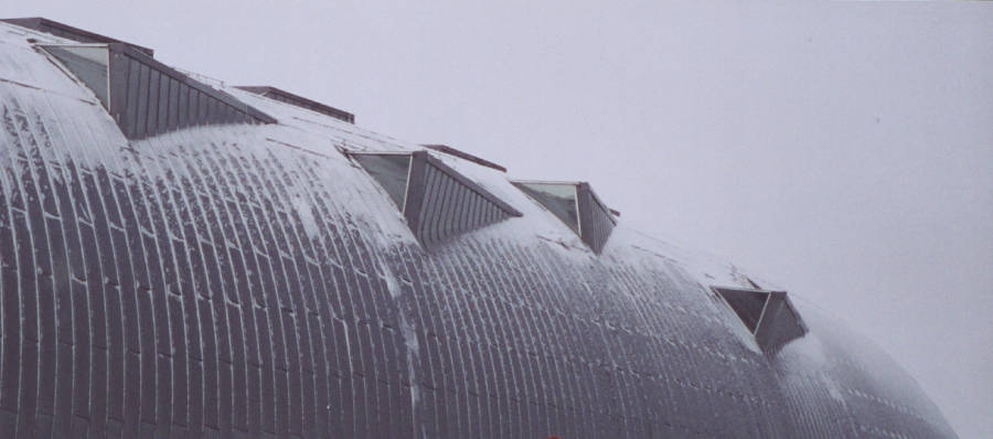 Steven Holl