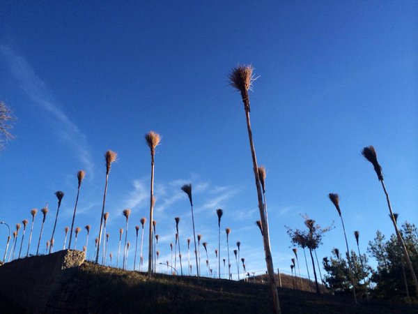 Anni Rapinosa nel Parco Nazionale del Pollino in Basilicata