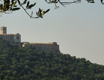 Veduta del Bosco di San Francesco